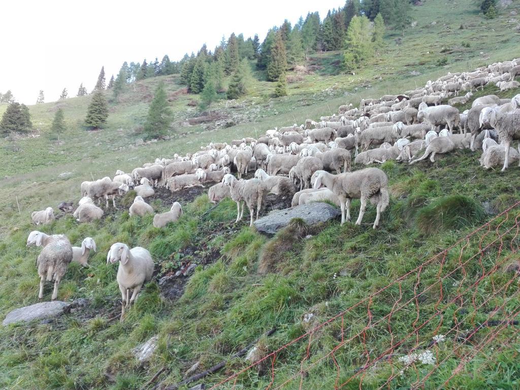 مبيت وإفطار Breguzzo Agritur Cornasest المظهر الخارجي الصورة